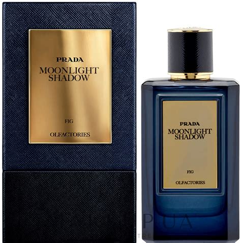 parfum prada herren moonlight shadow|Olfactories .